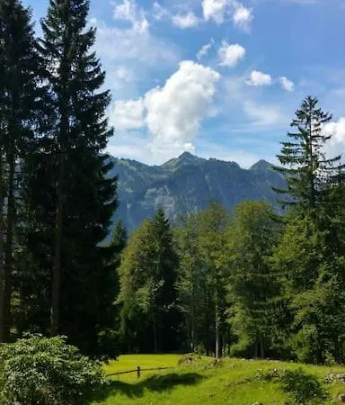 Appartement Freiraum Dalaas