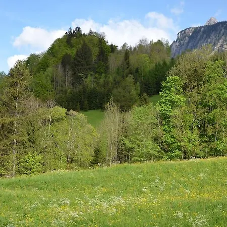 Freiraum Appartement
